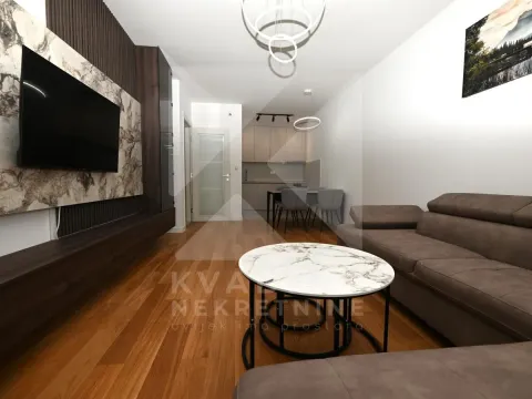 Izdavanje, jednosoban stan, 49m², Central Point, Podgorica - image 3