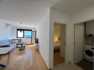 Stan na dan, jednosoban stan, 55m2, Bečići, Budva