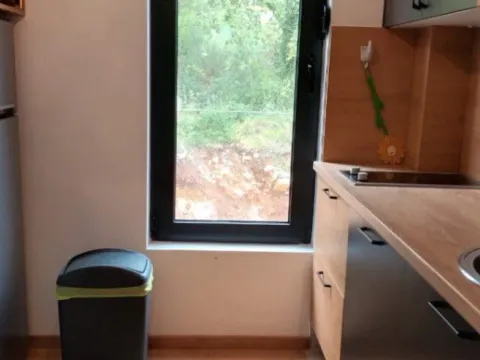 Izdavanje, jednosoban stan, 50m², Ivanovići, Budva - image 2