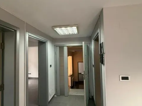 Izdavanje, poslovni prostor, 145m², Južni Bulevar, Vračar Sve Podlokacije - image 4