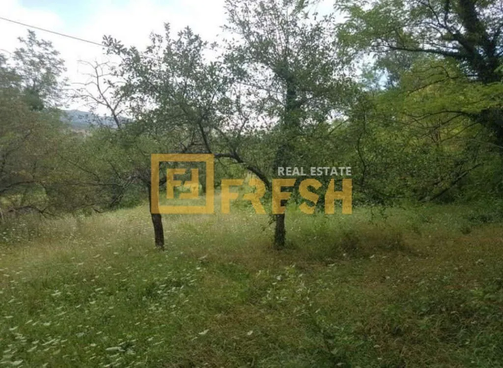 Prodaja, plac, 4400m², Danilovgrad, Crna Gora