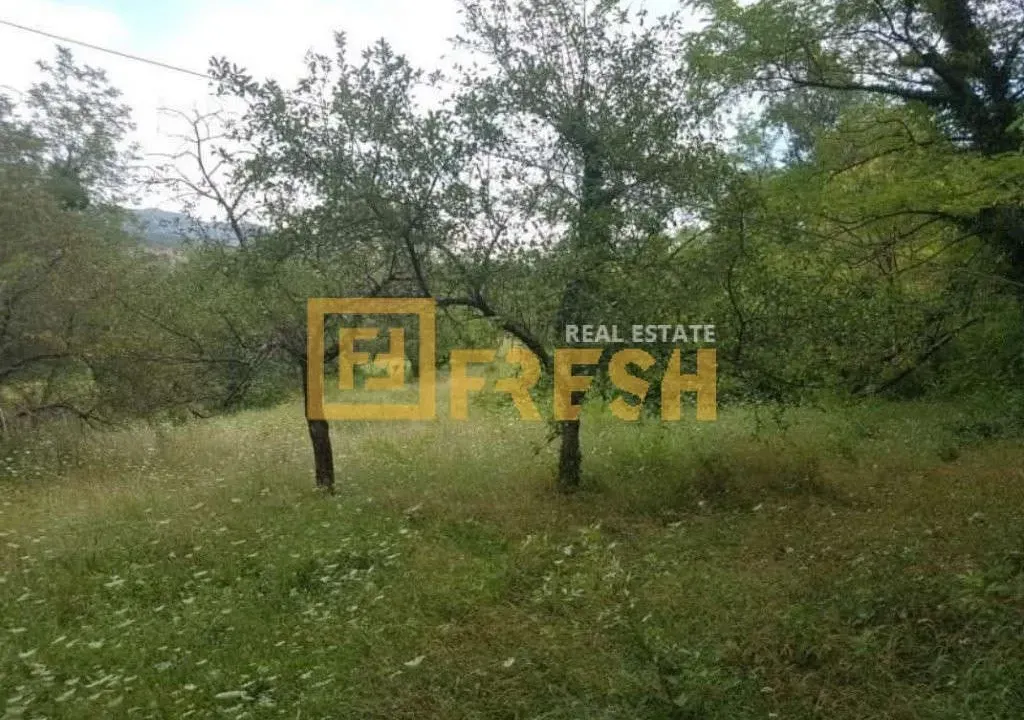 Prodaja, plac, 4400m², Danilovgrad, Crna Gora