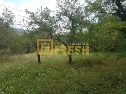Prodaja, plac, 4400m², Danilovgrad, Crna Gora