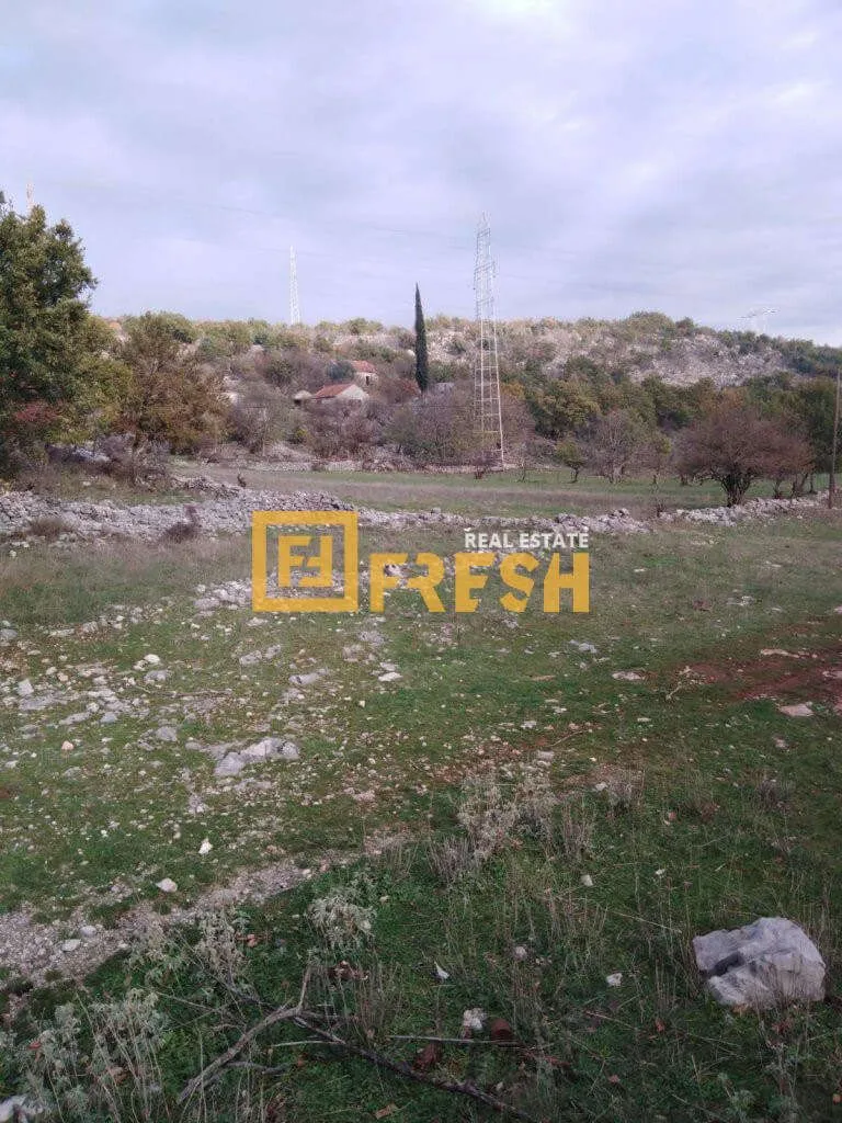 Prodaja, plac, 9600m², Rogami, Podgorica