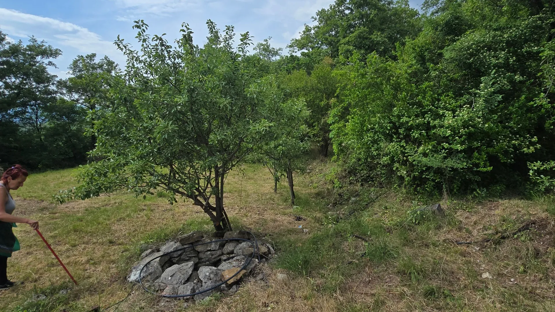 Prodaja, plac, 8000m², Piperi, Podgorica