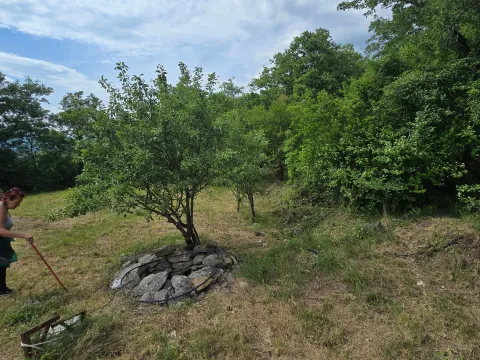 Prodaja, plac, 8000m², Piperi, Podgorica - image 5