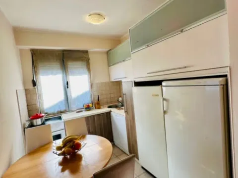 Izdavanje, dvosoban stan, 60m², Stari Aerodrom, Podgorica - image 9