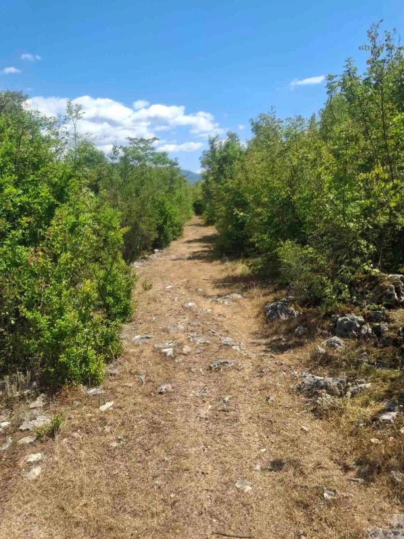 Sale, land lot, 80000m², Slap, Danilovgrad
