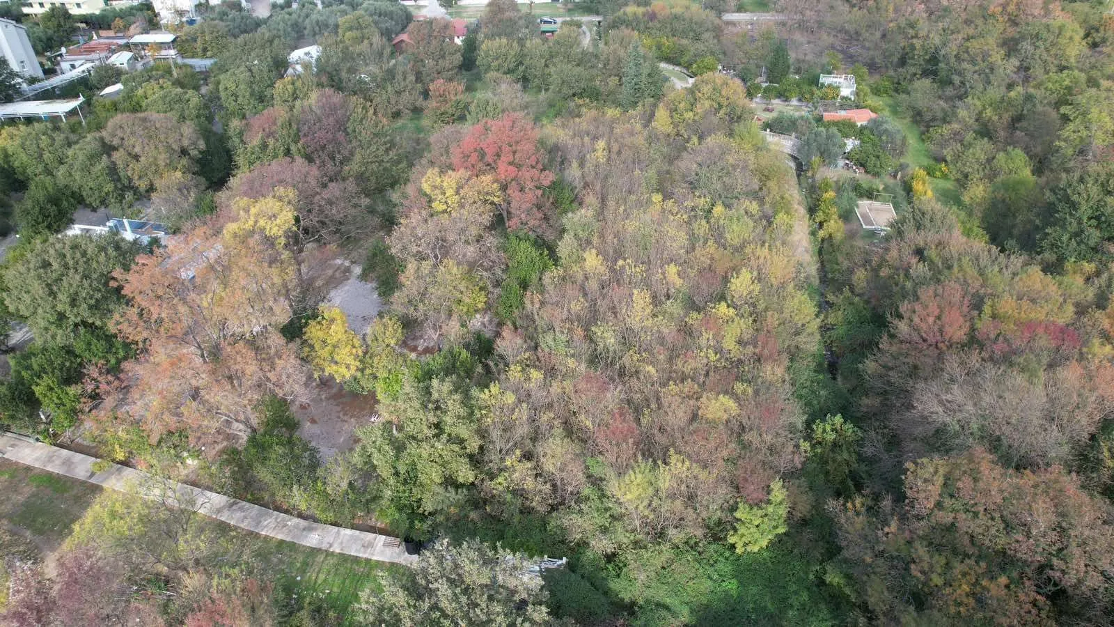 Prodaja, plac, 2673m², Buljarica, Budva