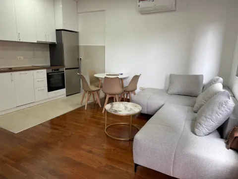 Izdavanje, jednosoban stan, 45m², Ljubović, Podgorica - image 3