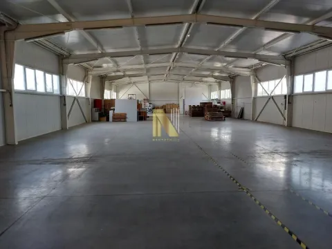 Izdavanje, poslovni prostor, 1200m², Bački Petrovac, Novi Sad - image 18