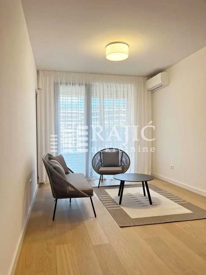 Bright living room furnished with modern seating and a rug.