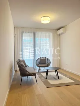 Bright living room furnished with modern seating and a rug. - image 10