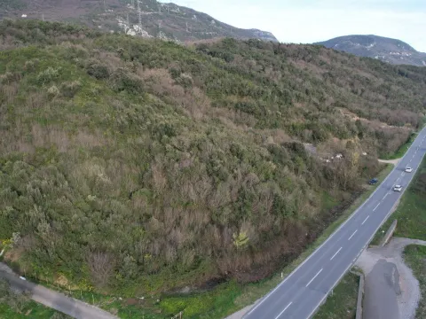 Prodaja, plac, 4000m², Radanovići, Kotor - image 4