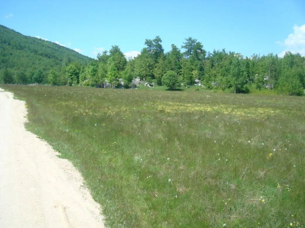 Prodaja, plac, 105000m², Seljani, Plužine