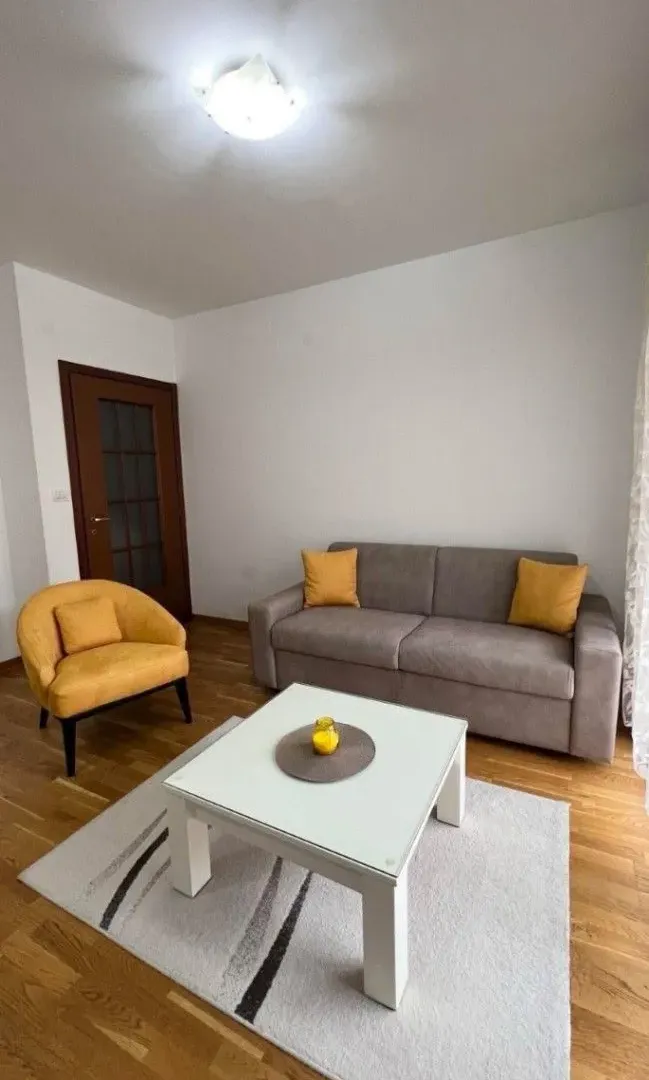 Izdavanje, jednosoban stan, 51m², City Kvart, Podgorica