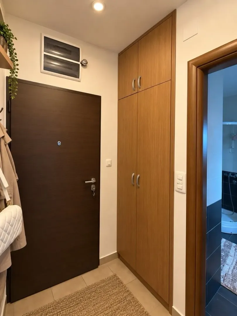Izdavanje, garsonjera, 30m², Tuški Put, Podgorica