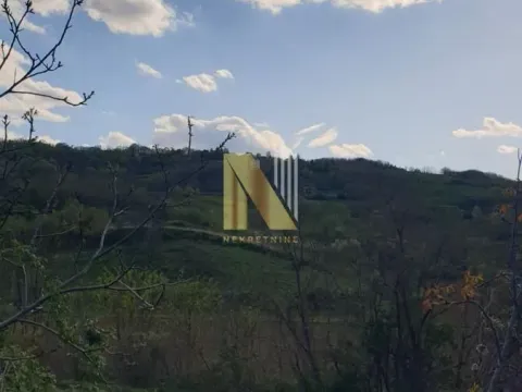 Prodaja, plac, 1200m², Novi Sad, Srbija - image 5