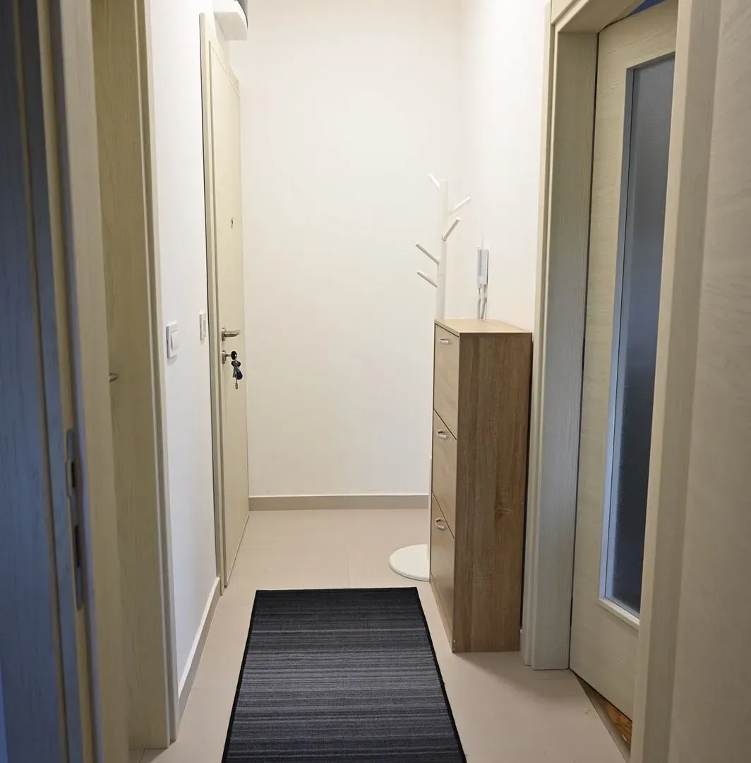 Izdavanje, jednosoban stan, 50m², Zagorič, Podgorica