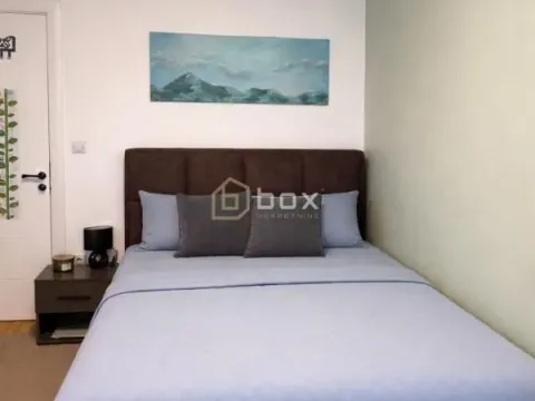 Rent, one bedroom apartment, 47m², Pantelej, Niš - image 4