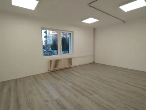 Izdavanje, poslovni prostor, 886m², Apelovac, Niš - image 4