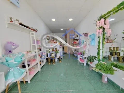 Rent, office space, 31m², Socijalno, Novi Sad Sve Podlokacije - image 6