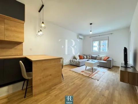 Izdavanje, jednosoban stan, 50m², Stari Aerodrom, Podgorica - image 5