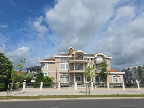 Izdavanje, poslovni prostor, 500m², Stari Aerodrom, Podgorica - image 3