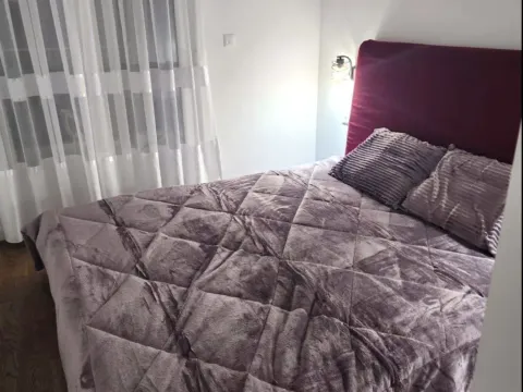 Izdavanje, stan, 46m², Stari Aerodrom, Podgorica - image 6