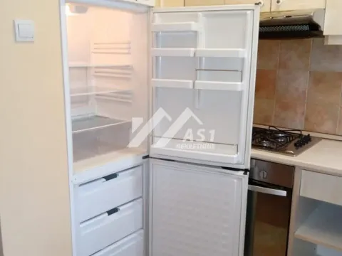 Rent, house, 80m², Salajka, Novi Sad Sve Podlokacije - image 5