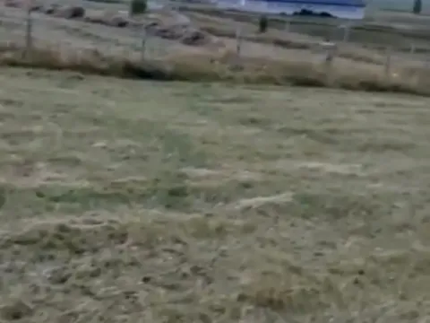 Prodaja, plac, 450m², Centar, Žabljak - image 3