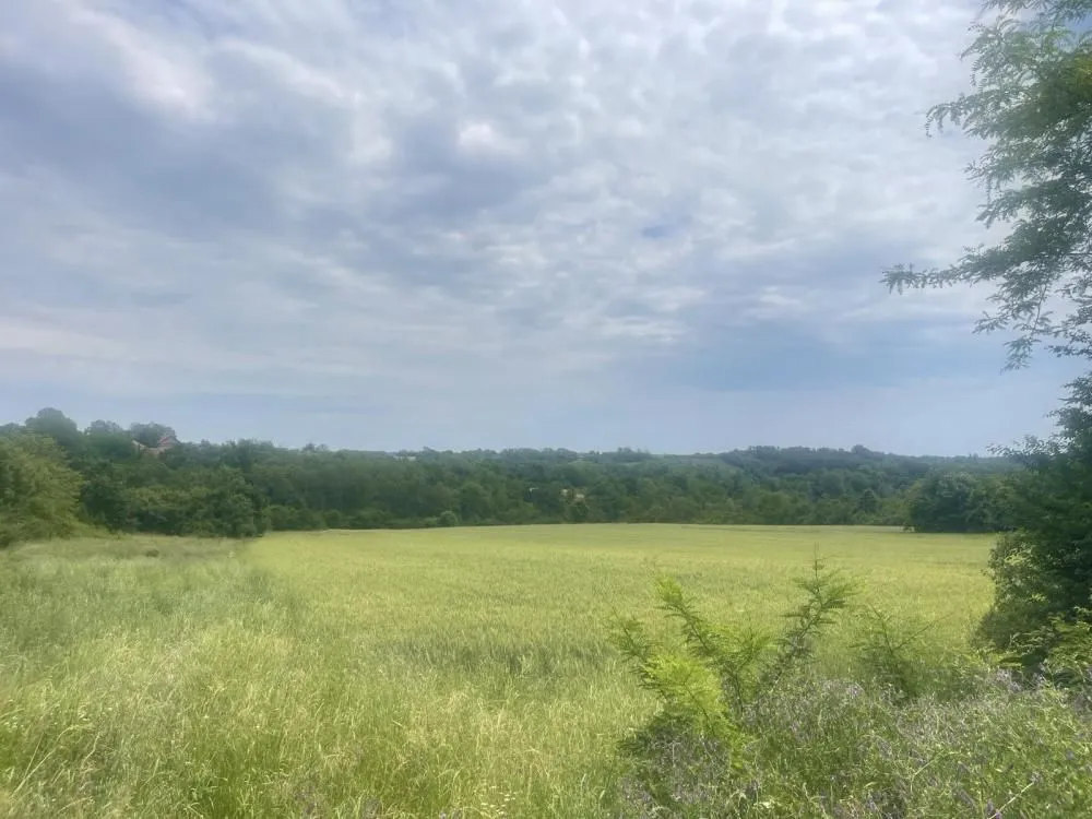 Prodaja, plac, 109200m², Mladenovac, Beograd