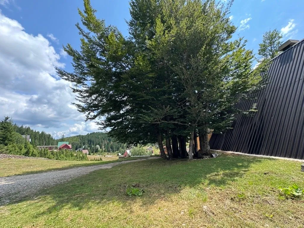 Prodaja, plac, 1150m², Motički gaj, Žabljak
