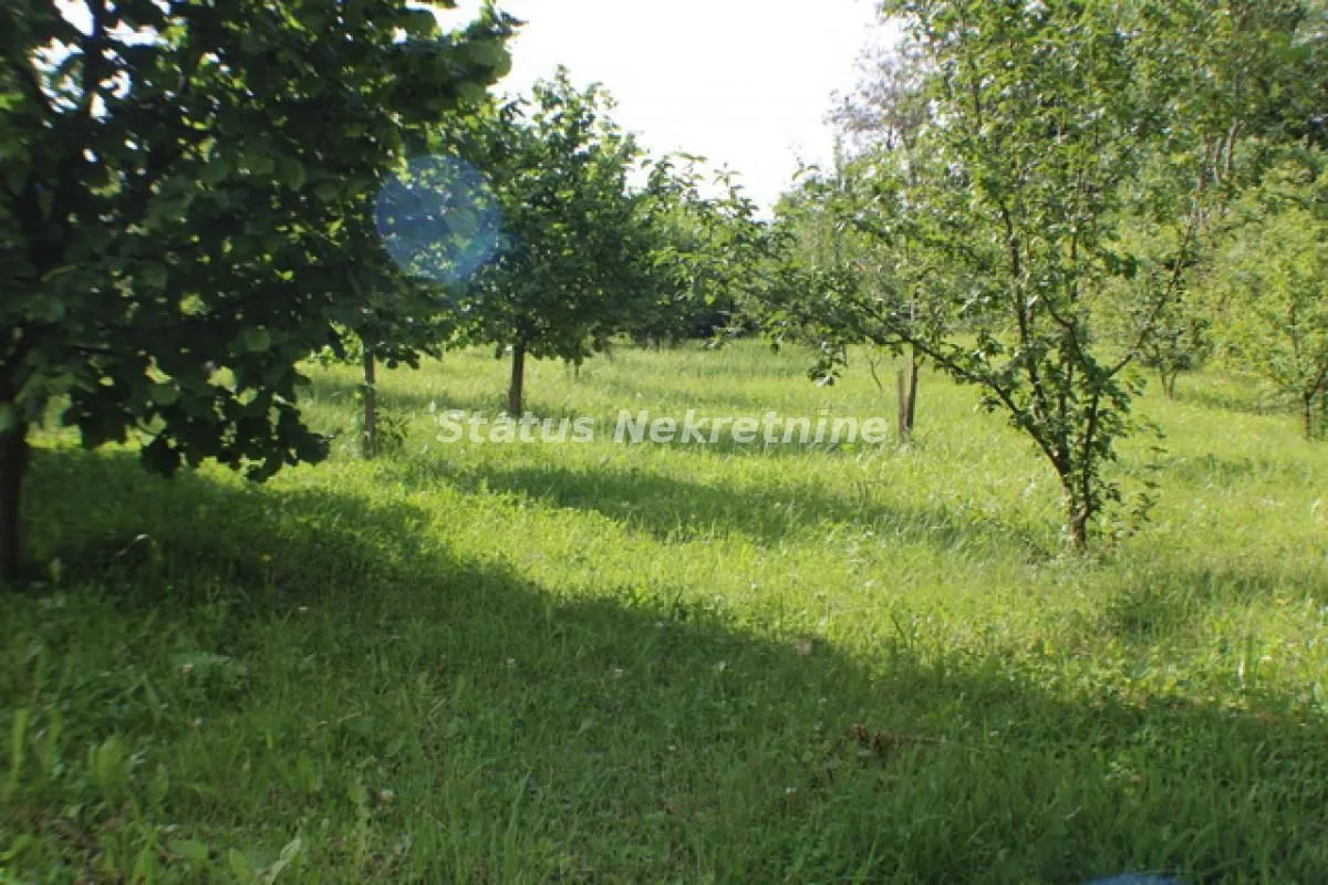 Prodaja, kuća, 220m², Ledinci, Petrovaradin