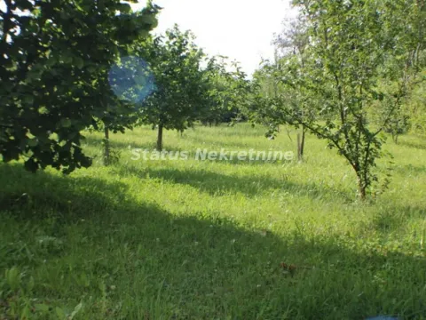 Prodaja, kuća, 220m², Ledinci, Petrovaradin - image 16