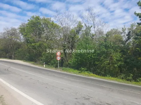Asfaltni put sa drvećem i saobraćajnim znakovima u prirodi. - image 3