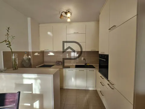 Rent, one bedroom apartment, 55m², Ljubović, Podgorica - image 7