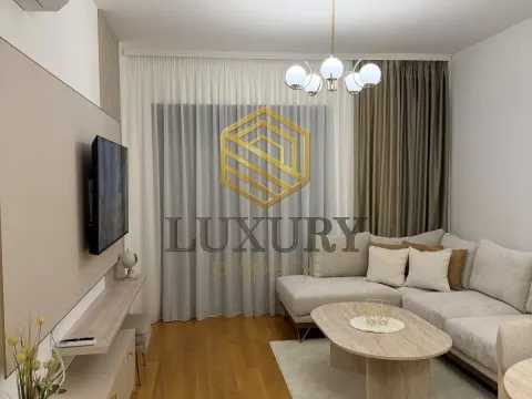 Izdavanje, jednosoban stan, 50m², Zabjelo, Podgorica - image 4