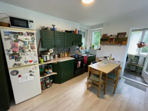 Sale, house, 55m², Sremska Kamenica, Petrovaradin - image 6