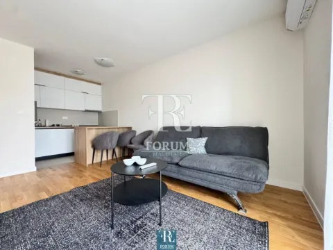 Rent, one bedroom apartment, 43m², Pobrežje, Podgorica - image 4