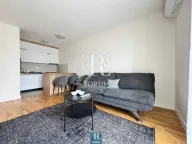 Izdavanje, jednosoban stan, 43m², Pobrežje, Podgorica - image 4