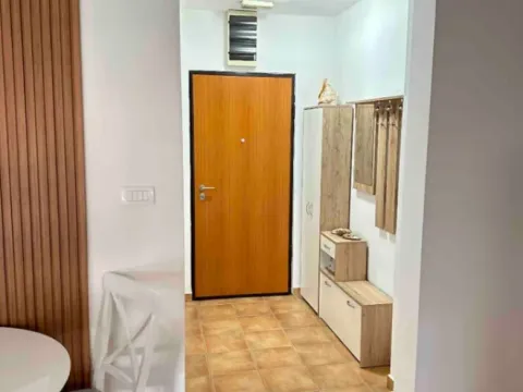 Izdavanje, jednosoban stan, 42m², Zagorič, Podgorica - image 10