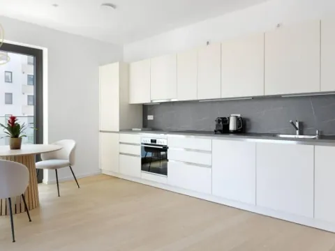 Izdavanje, dvosoban stan, 60m², Stari Grad, Beograd - image 6