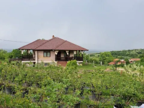 Prodaja, kuća, 250m², Žbevac, Bujanovac - image 5