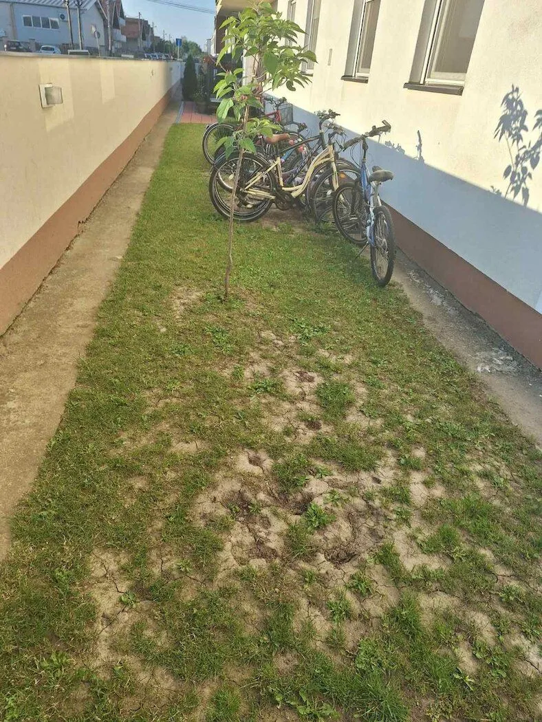 Prodaja, jednosoban stan, 74m², Veternik, Novi Sad Sve Podlokacije