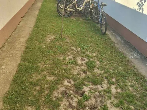 Prodaja, jednosoban stan, 74m², Veternik, Novi Sad Sve Podlokacije - image 11