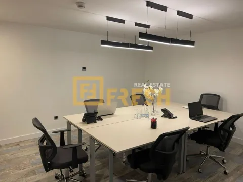 Rent, office space, 250m², Zeta, Podgorica - image 6