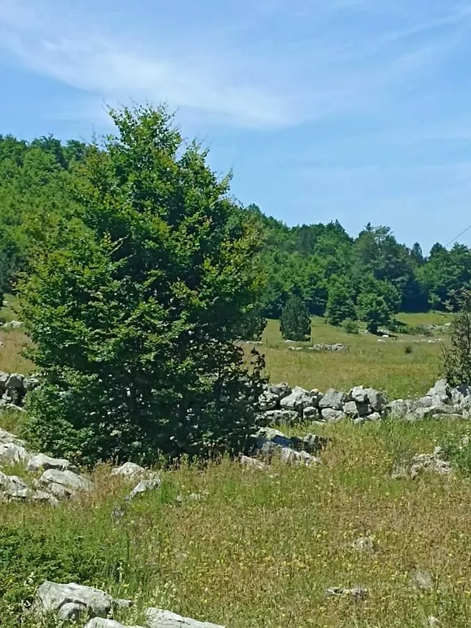 Prodaja, plac, 500m², Podgorica, Crna Gora