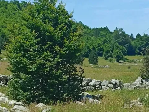 Prodaja, plac, 500m², Podgorica, Crna Gora - image 4