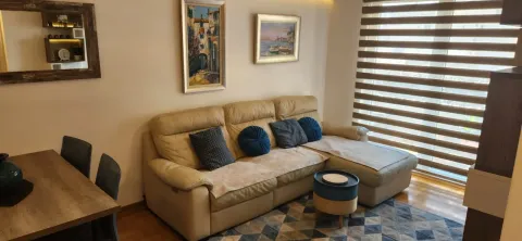 Rent, two bedroom apartment, 55m², Maslinjak, Budva - image 2